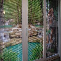 Алюминиевые горизонтальные жалюзи с рисунком цена. Купить в «Мастерская Жалюзи»